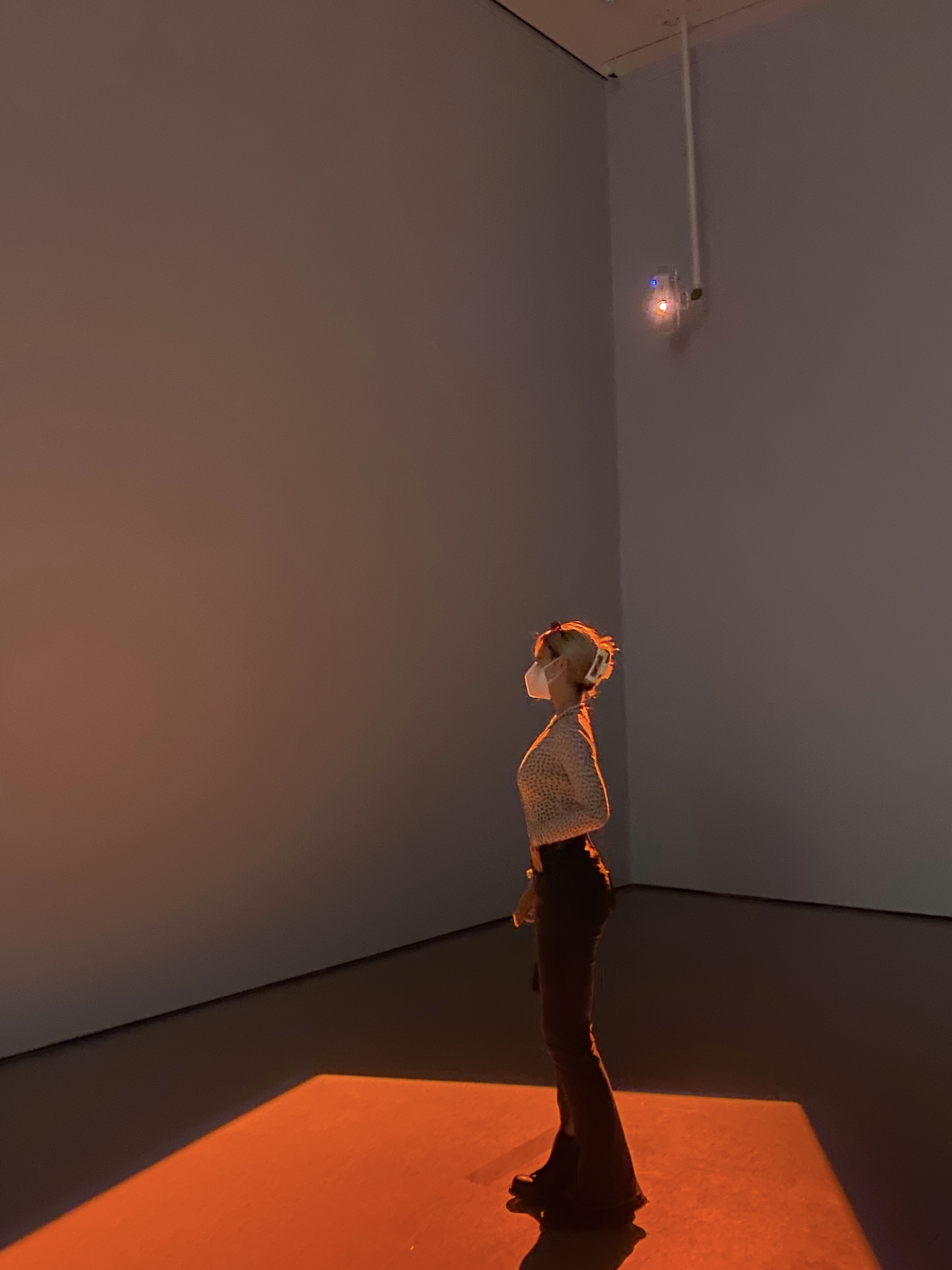 moma red